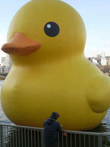 2009122215140000.jpg